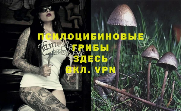 круглые Белокуриха