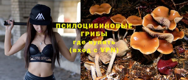мяу мяу мука Белоозёрский