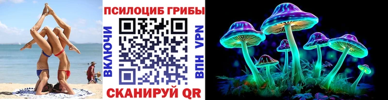 darknet телеграм  Южа  Галлюциногенные грибы MAGIC MUSHROOMS  даркнет сайт  гидра ONION 